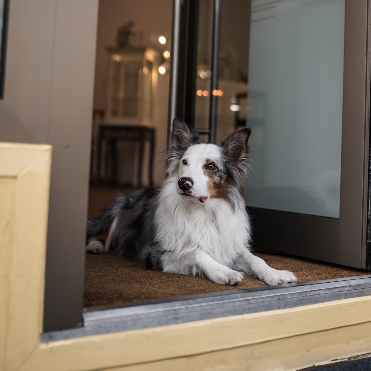 Goldschmiede Josefine - Sullivan